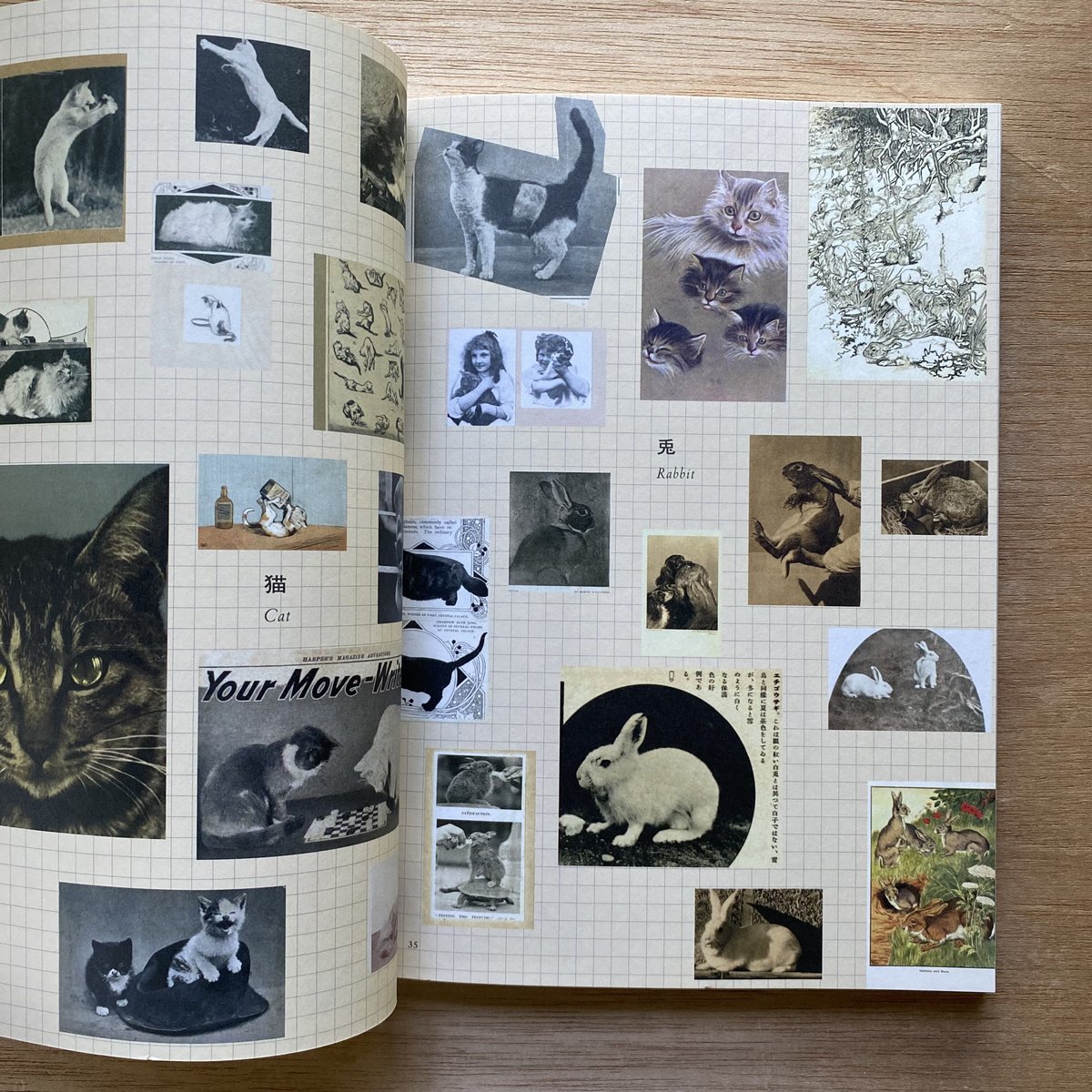 イメージコレクター・杉浦非水展 | bullock books