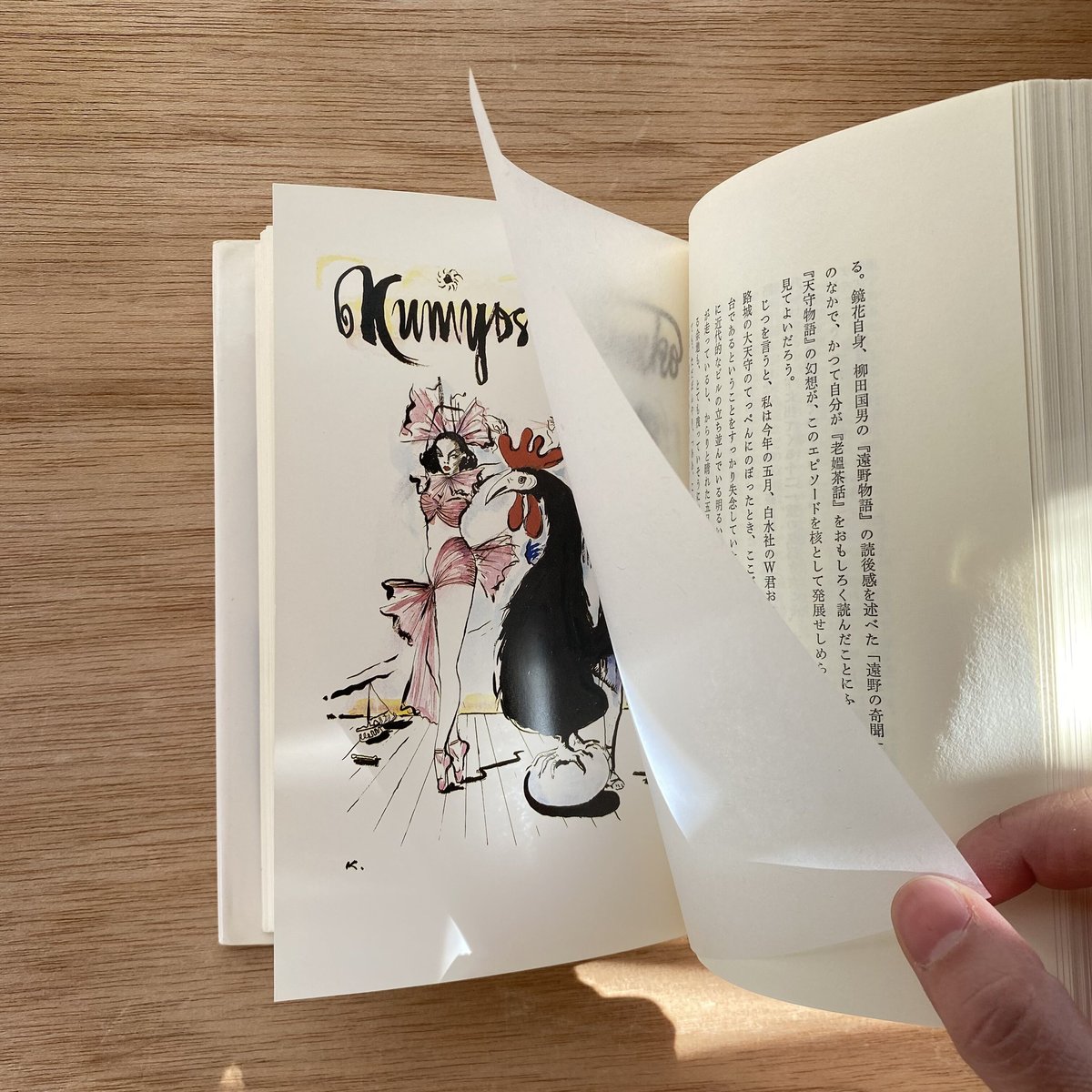 城＝カステロフィリア|澁澤龍彦 | bullock books