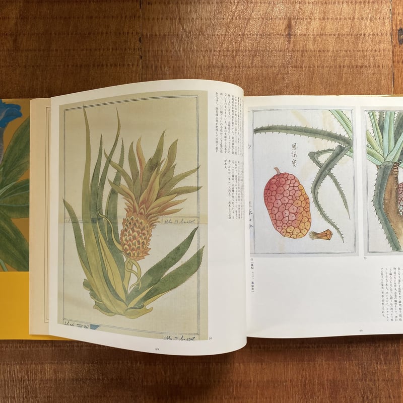 高木春山 本草図説一 植物 | bullock books