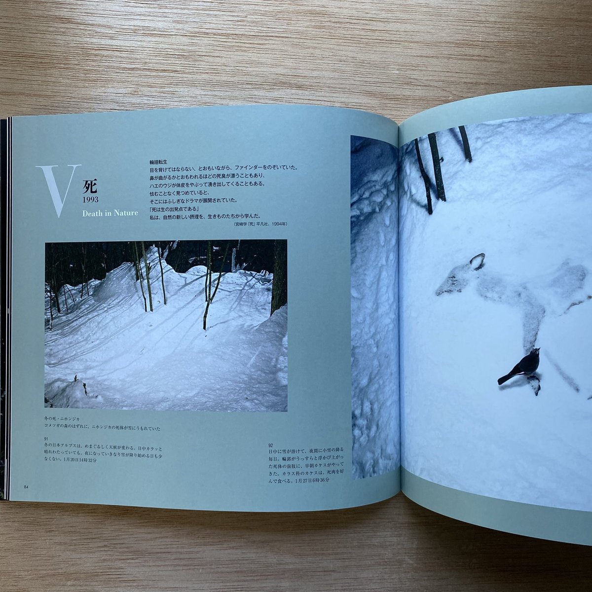 Death in Nature 宮崎学 写真集 死 : 宮崎学写真集(宮崎学 著) / かもがわ書店 / 古本、中古本、古書籍