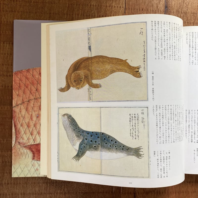 江戸博物図鑑 本草図説 全3巻揃 【植物・水産・動物】(高木春山 江戸博物図鑑 本草図説 全3巻揃 【植物・水産・動物】(高木春山