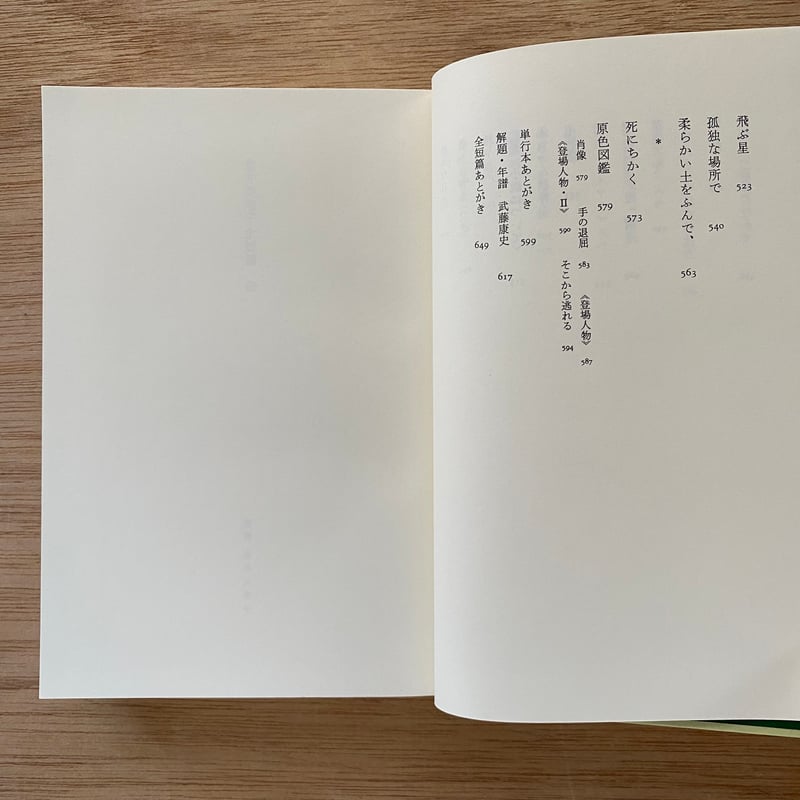 金井美恵子全短編集Ⅲ | bullock books