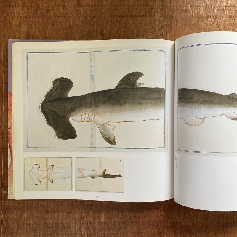 高木春山 本草図説 水産 | bullock books