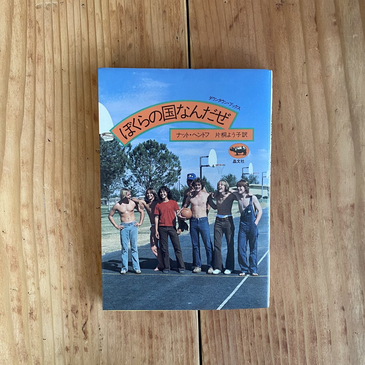 『ぼくらの国なんだぜ』ナット・ヘントフ ぼくらの国なんだぜ | bullock books