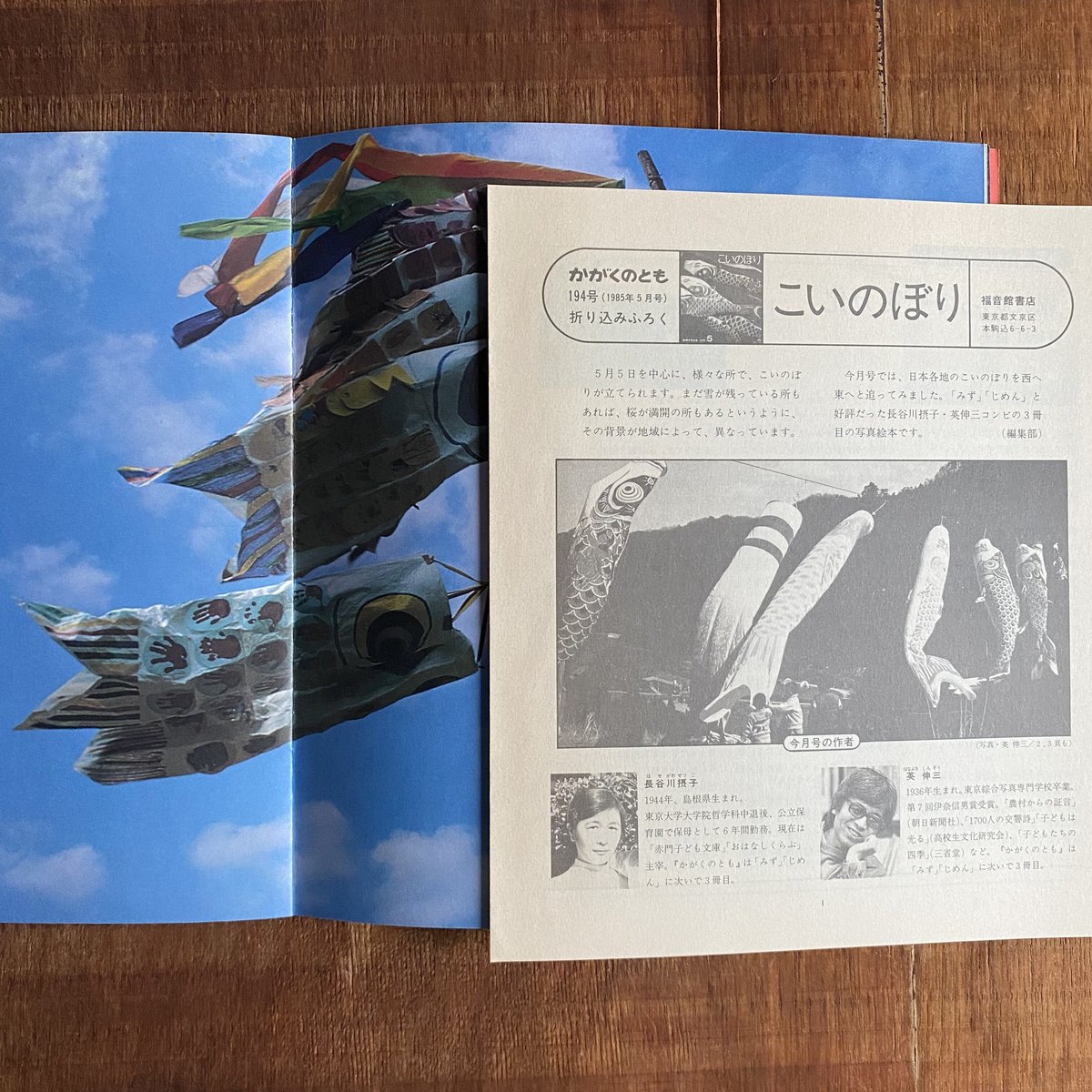 かがくのとも194号5 こいのぼり | bullock books