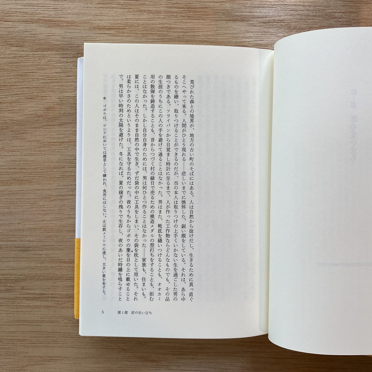 チェヴェングール|アンドレイ・プラトーノフ | bullock books