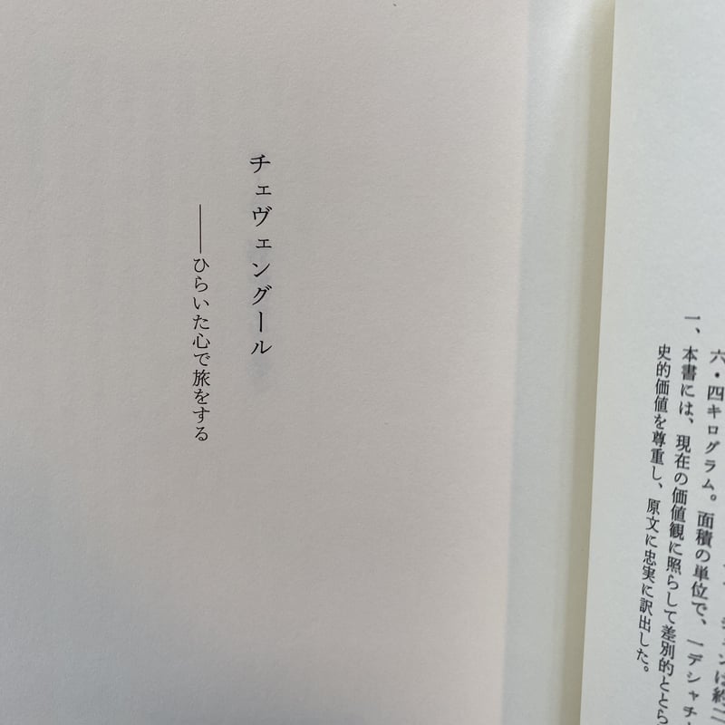 チェヴェングール|アンドレイ・プラトーノフ | bullock books