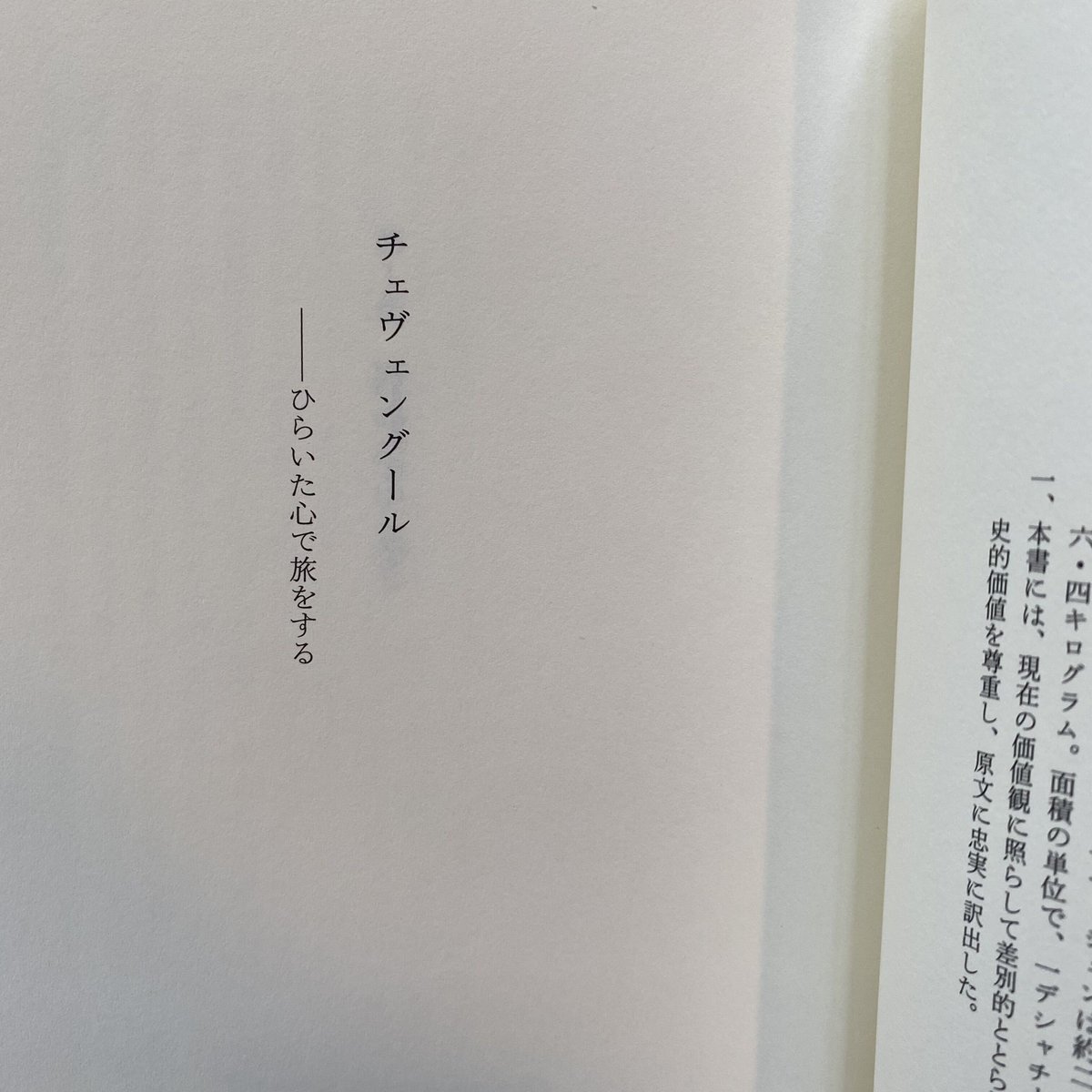 チェヴェングール|アンドレイ・プラトーノフ | bullock books