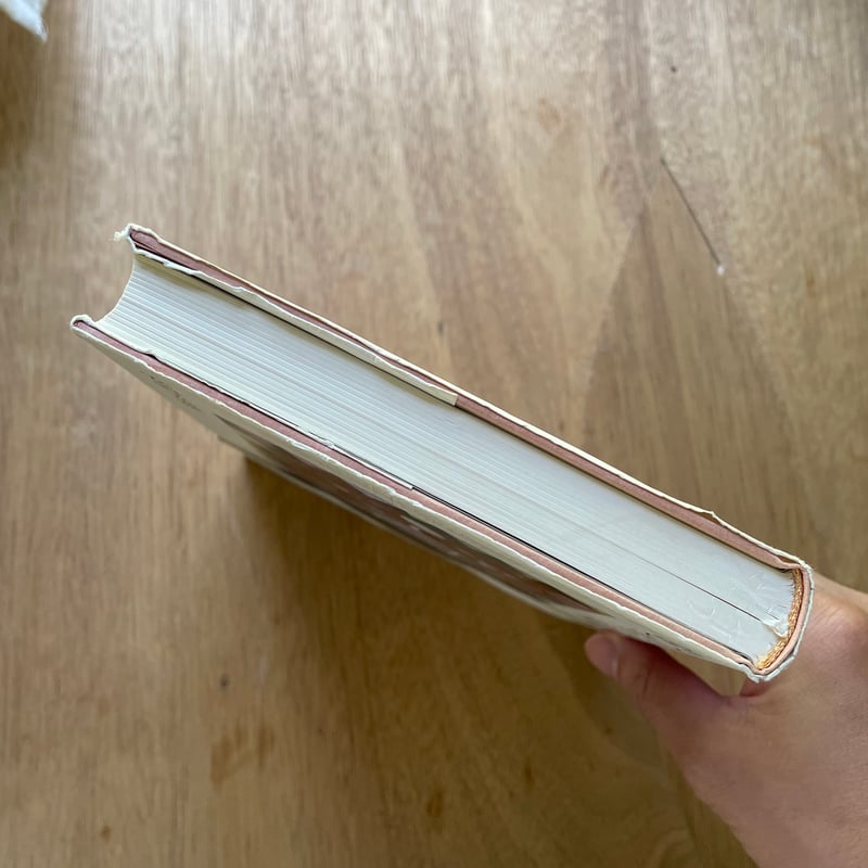 会いたかった画家|安野光雄 | bullock books