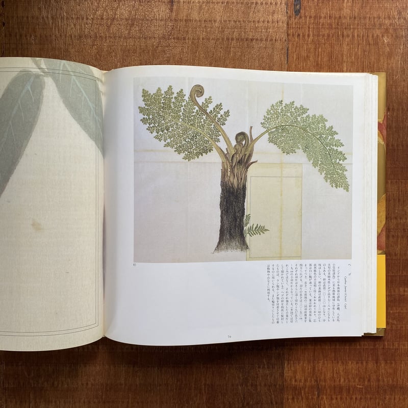 高木春山 本草図説一 植物 | bullock books