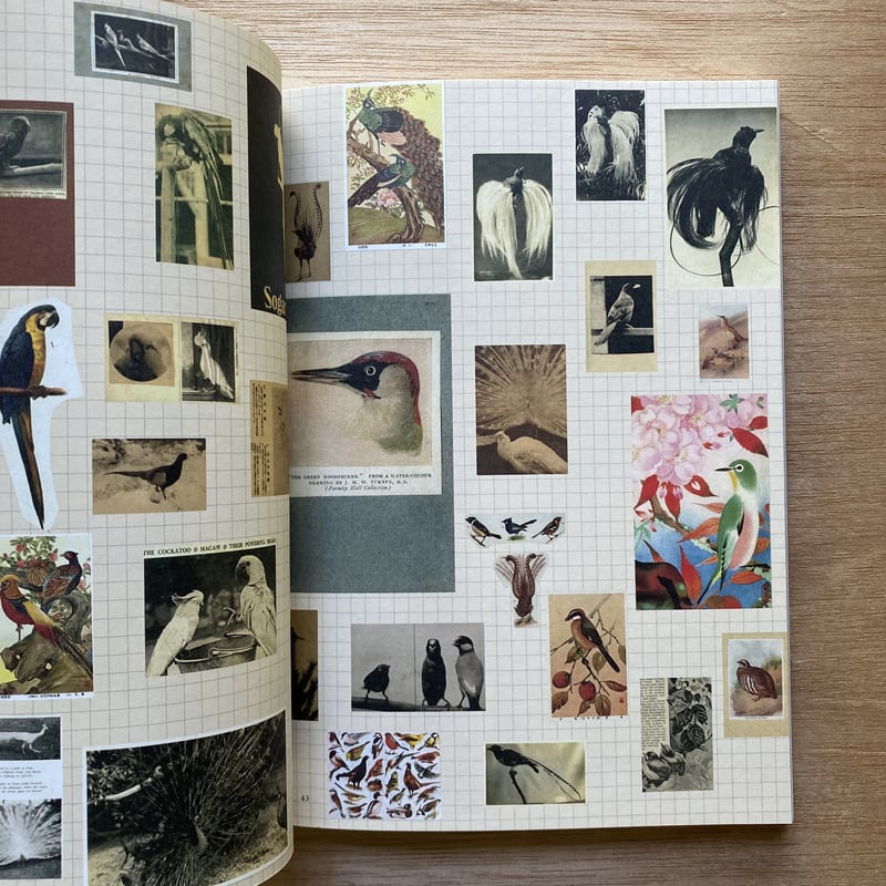 写生>のイマジネーション 杉浦非水の眼と手 展覧会図録 生誕140年