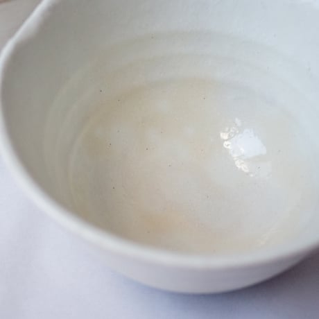 変形丼 どんぶり 全２色