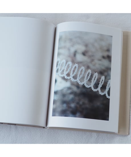 THUJORD｜Ola Rindal