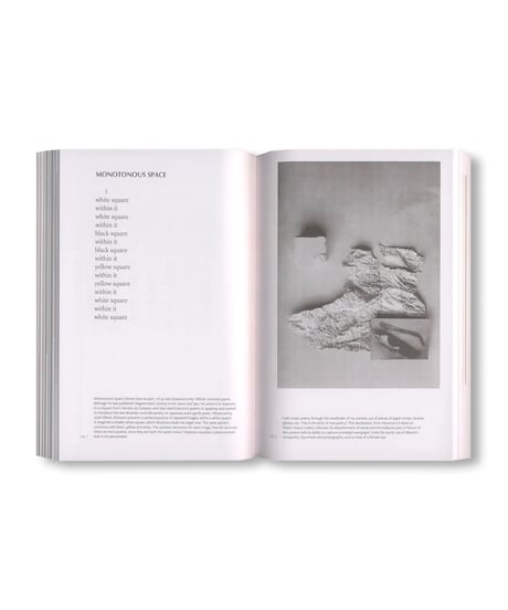 CONCRETE POETRY: A 21ST-CENTURY ANTHOLOGY｜Nancy Perloff