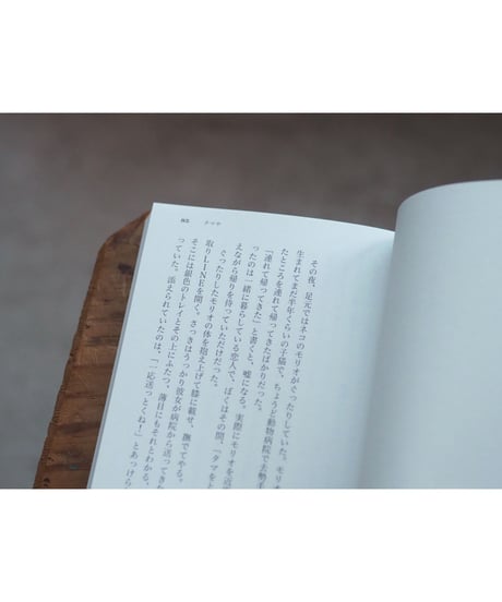 USO 3 | 特集 ＳＡＹ・声