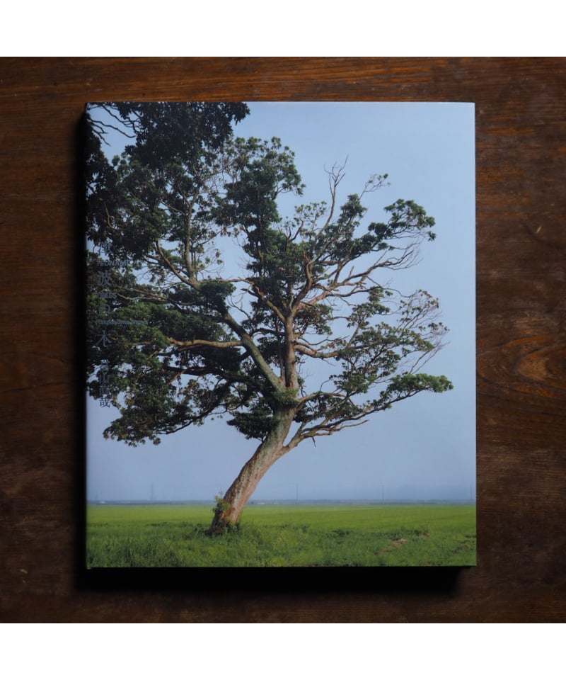 津波の木|畠山直哉 | button 津波の木|畠山直哉 | button