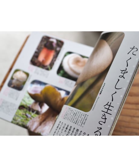 考えるキノコ 摩訶不思議ワールド