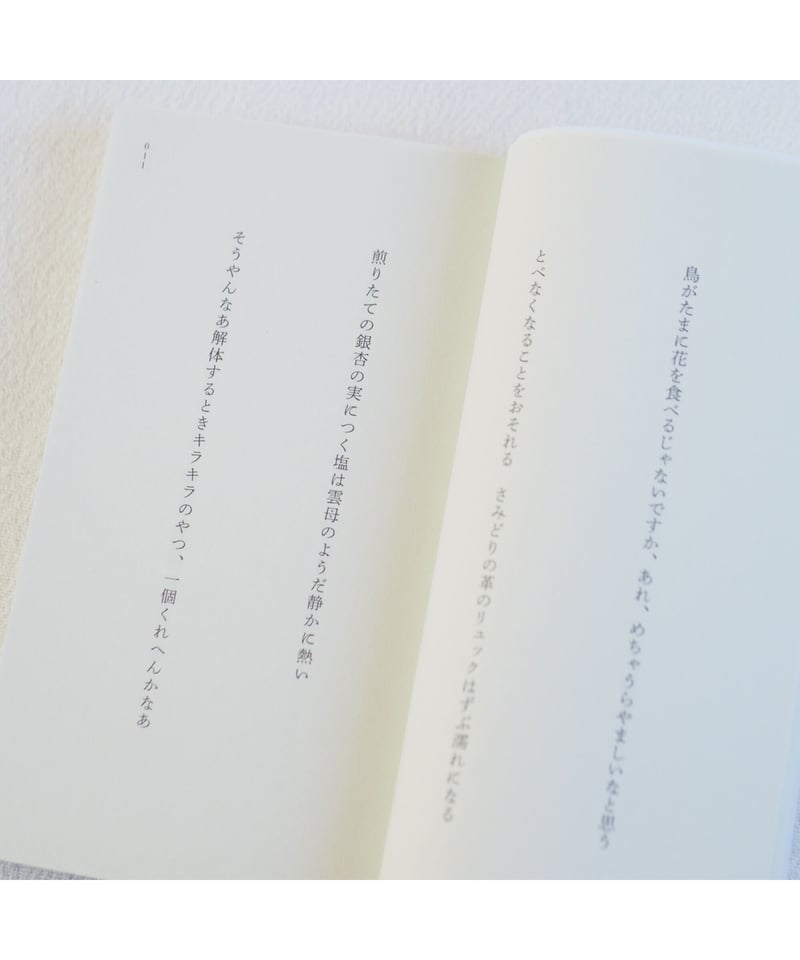 Amazon.co.jp: （雑誌）定型律 創刊準備号-3巻3号まで揃 19冊