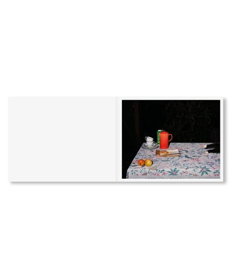 PLATES I-XXXI｜Lia Darjes