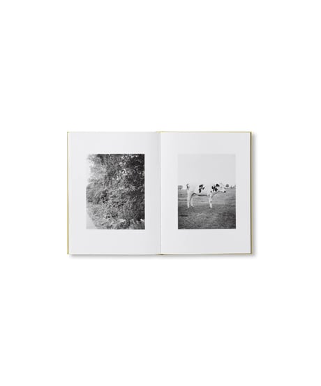 NATUR｜Michael Schmidt