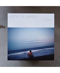 Lots of Birds | 澁谷浩次【1st press |カラー盤】