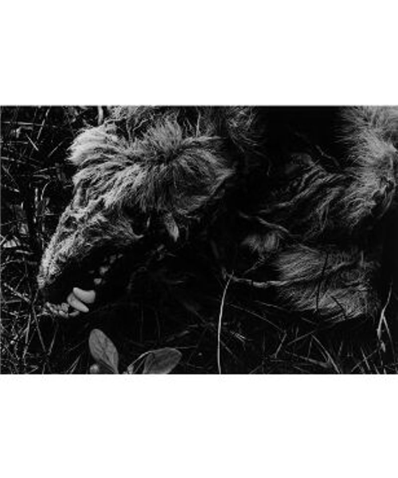 North Point 北点｜中居裕恭 写真集 | button