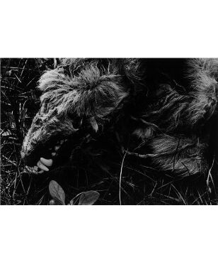 North Point 北点｜中居裕恭 写真集 | button