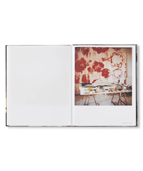 LE TEMPS RETROUVÉ CY TWOMBLY PHOTOGRAPHE ET ARTISTES INVITÉS｜Cy Twombly