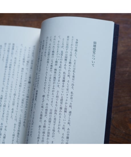 遠い声がする 渋谷直人評論集