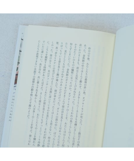 赤い魚の夫婦｜グアダルーペ・ネッテル　宇野和美/翻訳
