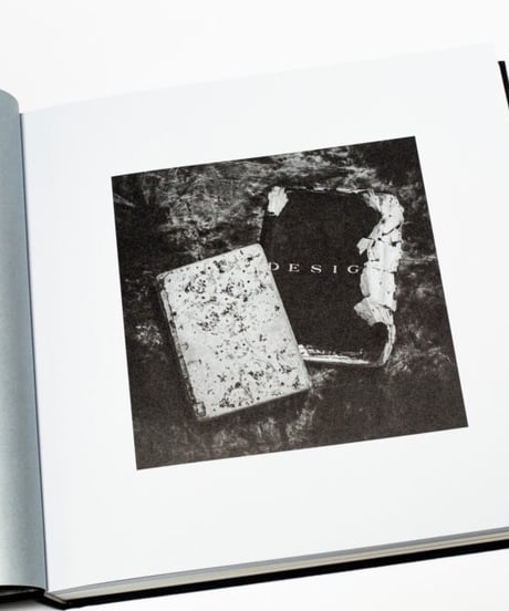 The Last One〈Poésies : Les Rallizes Dénudés〉裸のラリーズ詩集