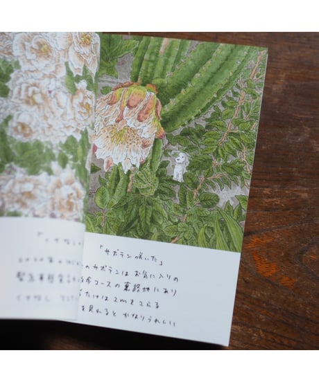 【サイン入】こいぬとはな｜中村一般