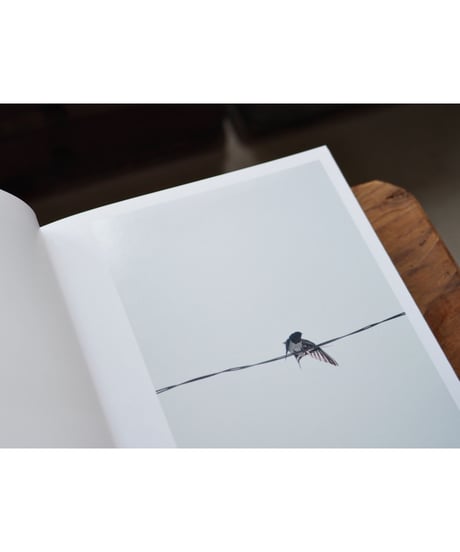 【サイン本】 Des oiseaux（On birds） /  川内倫子