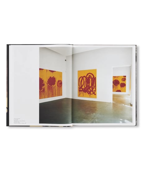 LE TEMPS RETROUVÉ CY TWOMBLY PHOTOGRAPHE ET ARTISTES INVITÉS｜Cy Twombly