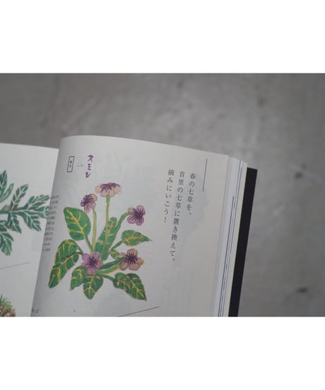 CONTE MAGAZINE VOL.1 特集：生きるためには、物語が必要です。
