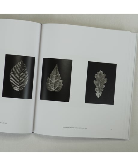 BERND & HILLA BECHER｜Bernd und Hilla Becher