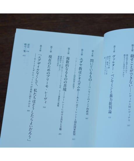 分かれ道 ユダヤ性とシオニズム批判｜ジュディス・バトラー 大橋洋一・岸まどか/訳