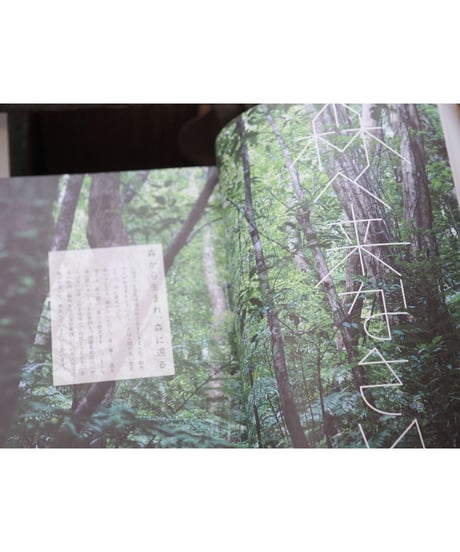 CONTE MAGAZINE VOL.2 特集：森へ来なさい。
