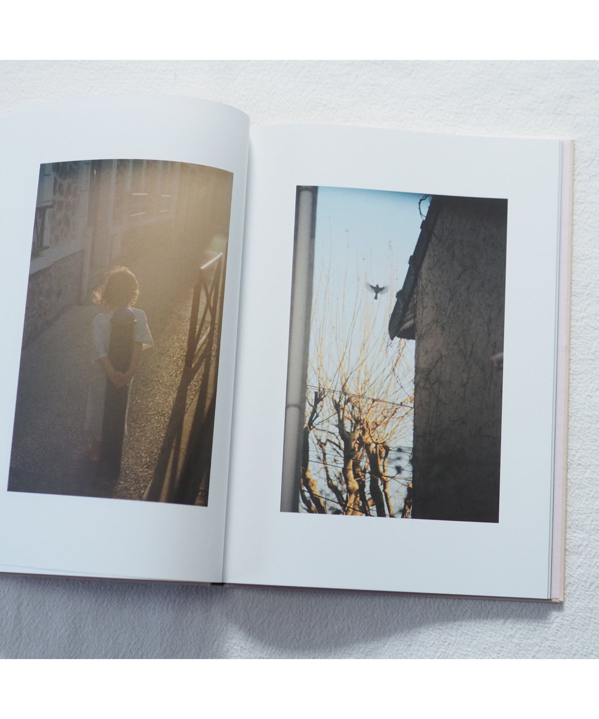 THE CLOUD, THE BIRD AND THE PUDDLE|Ola Rindal | THE CLOUD, THE BIRD AND THE PUDDLE|Ola Rindal |