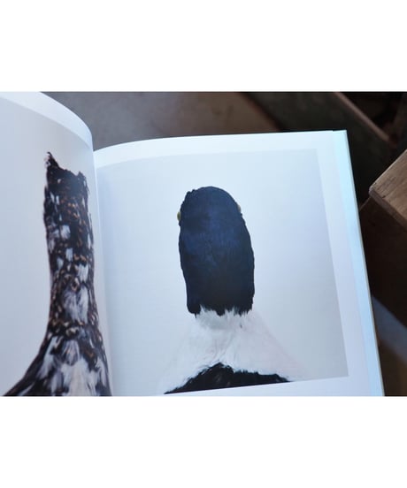BIRD | Roni Horn