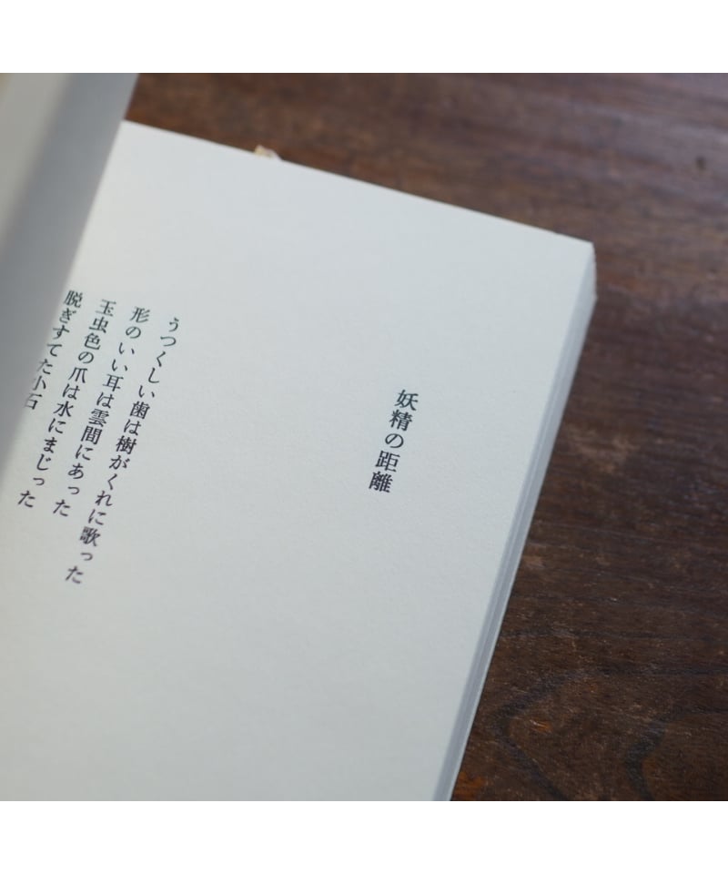 瀧口修造の詩的実験 1927〜1937 縮刷版 | button