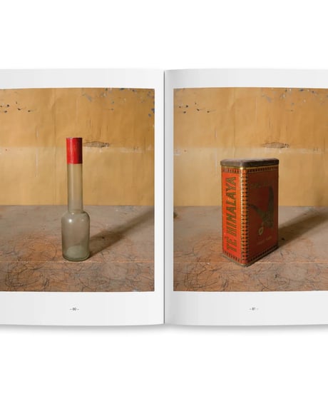MORANDI'S OBJECTS. THE COMPLETE ARCHIVE OF CASA MORANDI｜Joel Meyerowitz