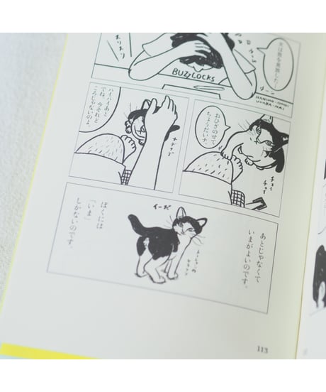 【イラストサイン入】ちゃっくん ｜水沢そら