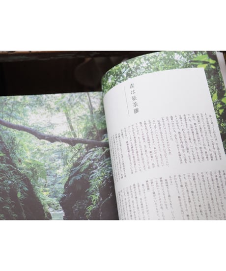 CONTE MAGAZINE VOL.2 特集：森へ来なさい。
