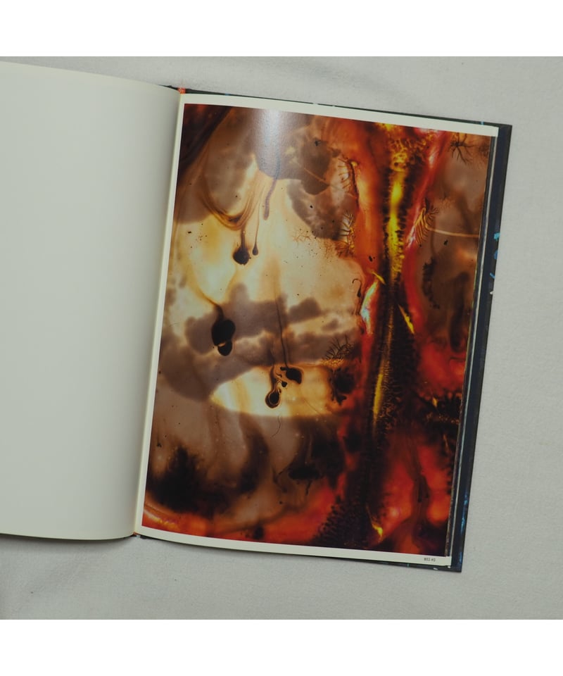 Best Before End｜Stephen Gill | button