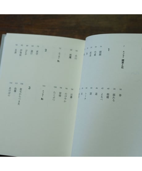 あなたは私と話した事があるだろうか｜折坂悠太  （歌）詞集