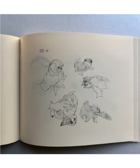 OINUDAYS | イケガミヨリユキ