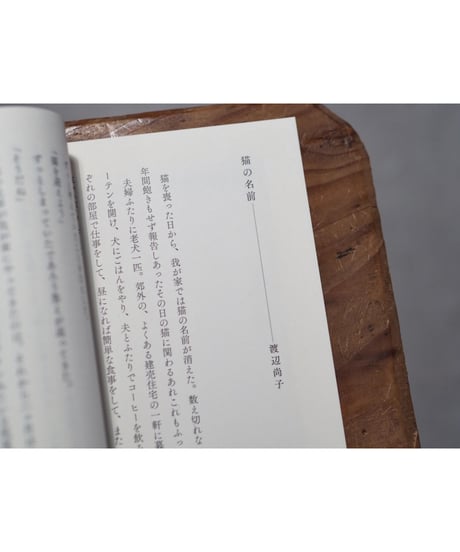 ちいさないきものと日々のこと