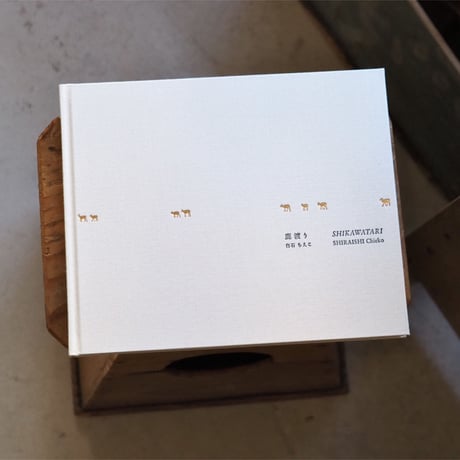 白石ちえこ | STORES