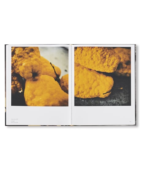 LE TEMPS RETROUVÉ CY TWOMBLY PHOTOGRAPHE ET ARTISTES INVITÉS｜Cy Twombly
